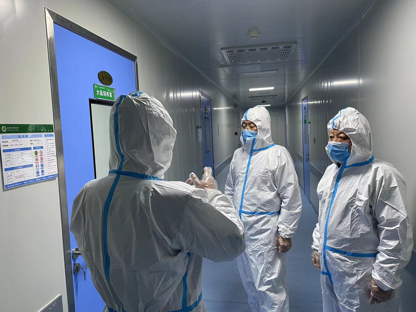 00ef24a834f444e29257a1ce0a036816.jpg 00ef24a834f444e29257a1ce0a036816.jpg