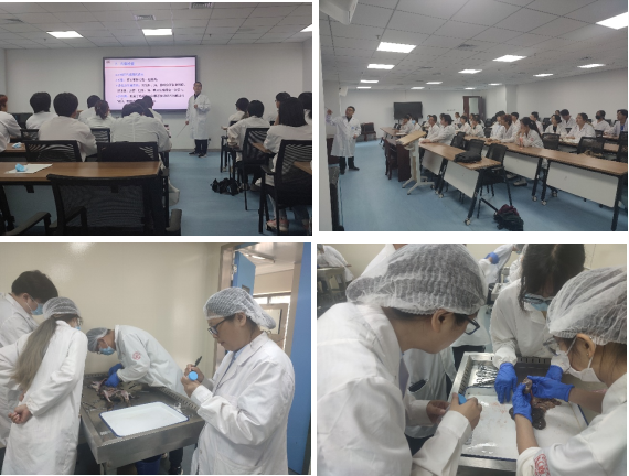 82d3928d608143519606b946f2071269.png 图片1.png