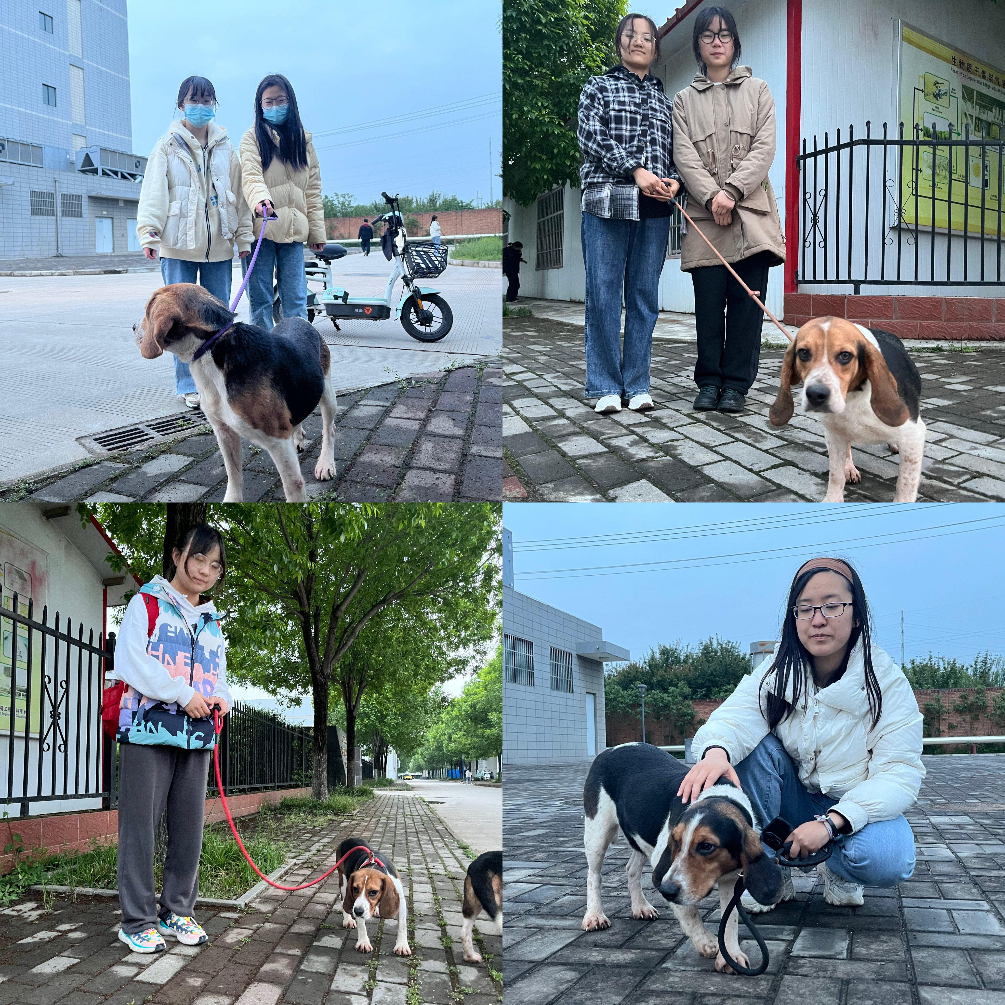 d13d8cbcd318425a9219a60f38ef119c.jpg