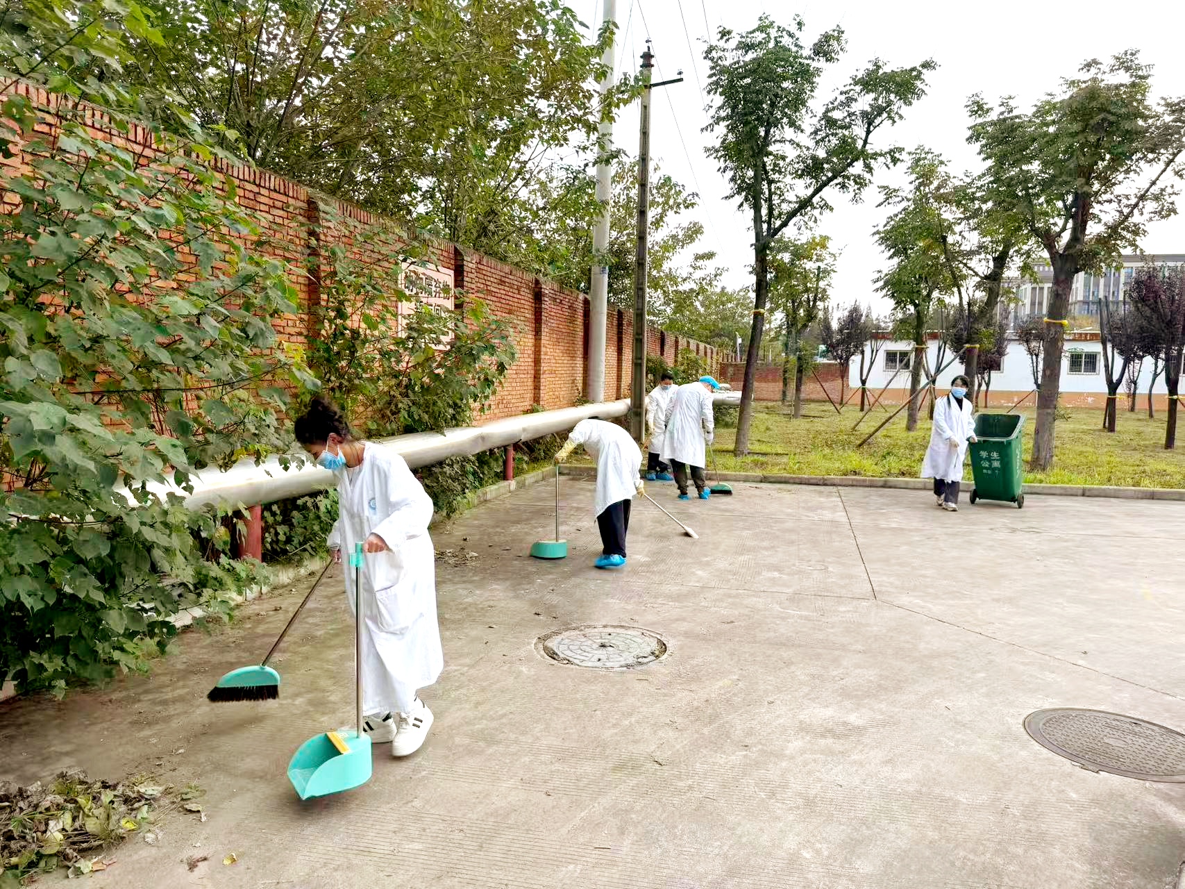 焕新环境 凝聚合力——实验动物中心开展环境清理专项活动