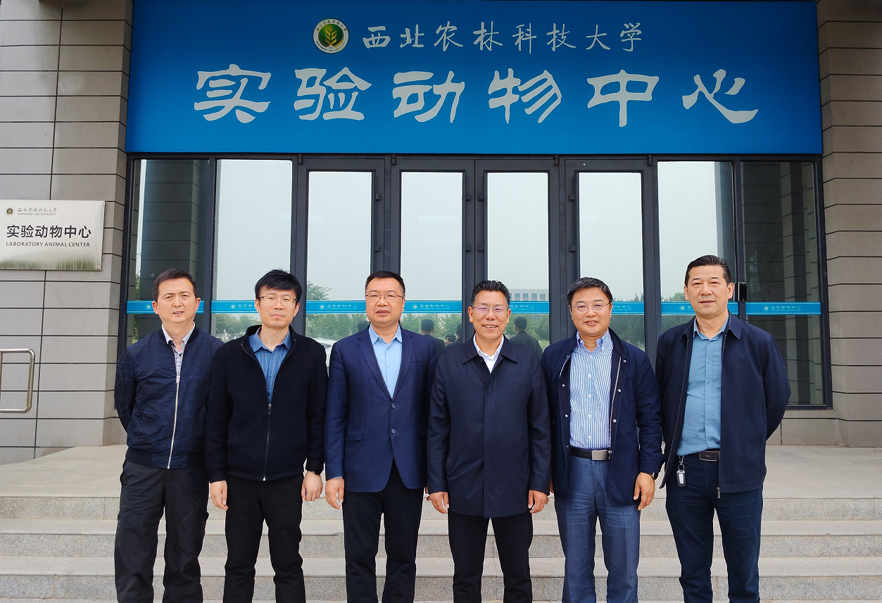 微信图片_20260428104152_356_64.png